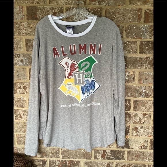 Harry Potter Hogwarts School Of Witchcraft & Wizardry Gray T-Shirt - Picture 1 of 8